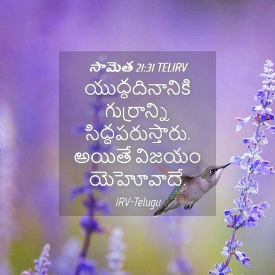 Picture 04 - సామెత 21:31 TELIRV - యుద్ధదినానికి - Bible Verse Picture