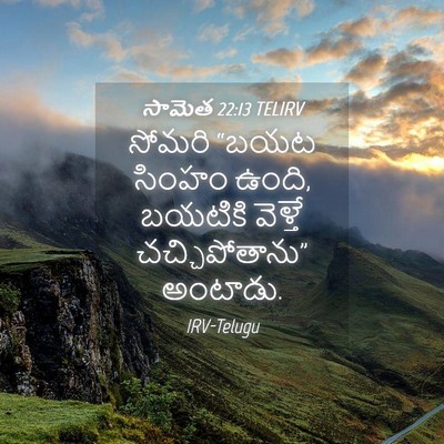 Picture 04 - సామెత 22:13 TELIRV - సోమరి “బయట సింహం - Bible Verse Picture