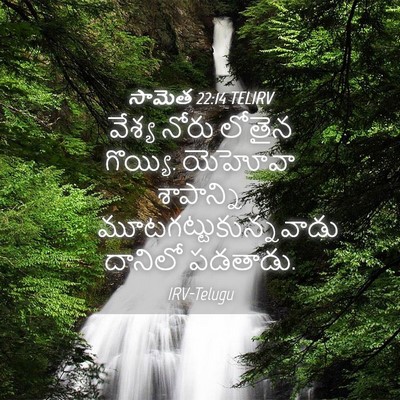 Picture 04 - సామెత 22:14 TELIRV - వేశ్య నోరు లోతైన - Bible Verse Picture