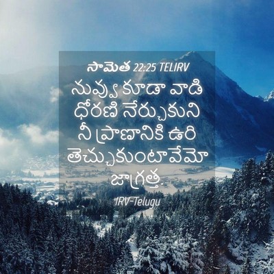Picture 04 - సామెత 22:25 TELIRV - నువ్వు కూడా వాడి - Bible Verse Picture