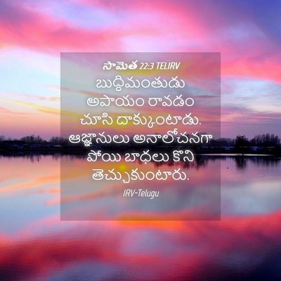 Picture 04 - సామెత 22:3 TELIRV - బుద్ధిమంతుడు - Bible Verse Picture