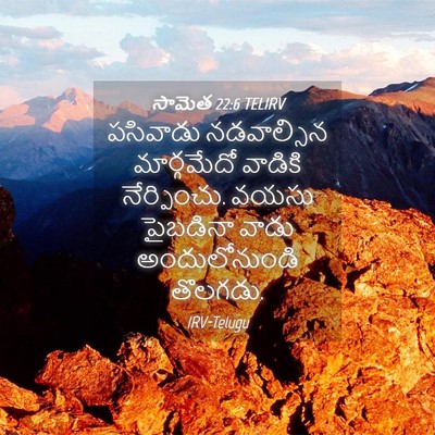 Picture 04 - సామెత 22:6 TELIRV - పసివాడు నడవాల్సిన - Bible Verse Picture