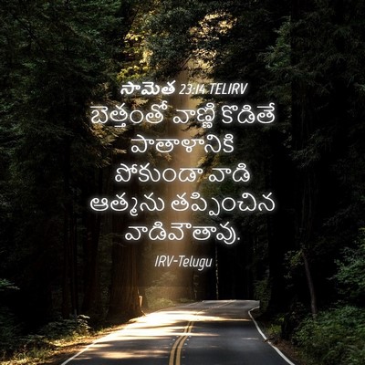 Picture 04 - సామెత 23:14 TELIRV - బెత్తంతో వాణ్ణి - Bible Verse Picture