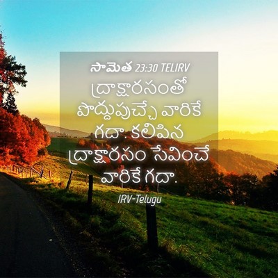 Picture 04 - సామెత 23:30 TELIRV - ద్రాక్షారసంతో - Bible Verse Picture