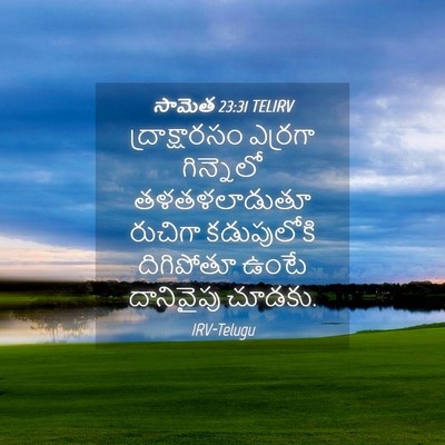 Picture 04 - సామెత 23:31 TELIRV - ద్రాక్షారసం - Bible Verse Picture