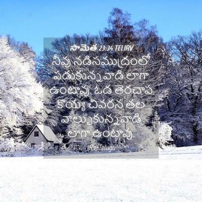 Picture 04 - సామెత 23:34 TELIRV - నీవు నడిసముద్రంలో - Bible Verse Picture