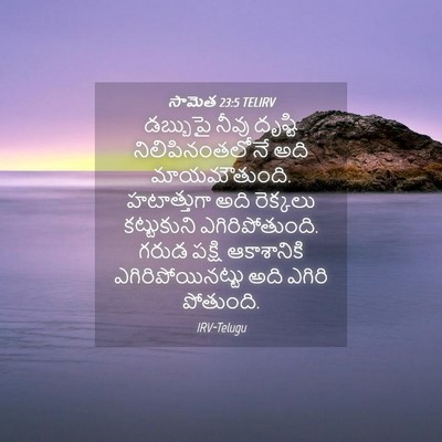 Picture 04 - సామెత 23:5 TELIRV - డబ్బుపై నీవు - Bible Verse Picture