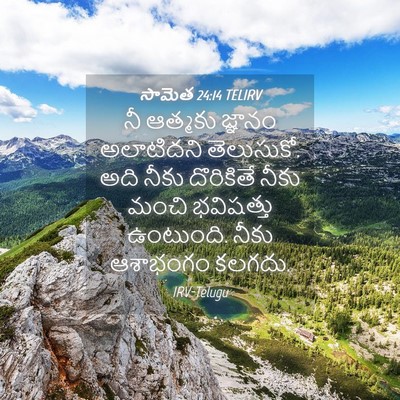 Picture 04 - సామెత 24:14 TELIRV - నీ ఆత్మకు జ్ఞానం - Bible Verse Picture