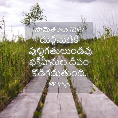 Picture 04 - సామెత 24:20 TELIRV - దుర్జనుడికి - Bible Verse Picture