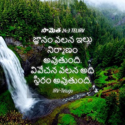 Picture 04 - సామెత 24:3 TELIRV - జ్ఞానం వలన ఇల్లు - Bible Verse Picture