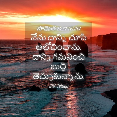Picture 04 - సామెత 24:32 TELIRV - నేను దాన్ని చూసి - Bible Verse Picture