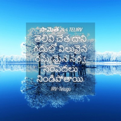 Picture 04 - సామెత 24:4 TELIRV - తెలివి చేత దాని - Bible Verse Picture