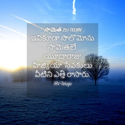 Picture 04 - సామెత 25:1 TELIRV - ఇవికూడా సొలొమోను - Bible Verse Picture