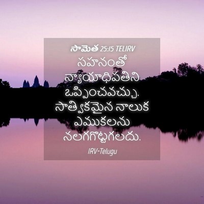 Picture 04 - సామెత 25:15 TELIRV - సహనంతో - Bible Verse Picture