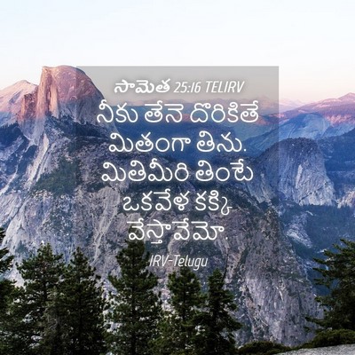 Picture 04 - సామెత 25:16 TELIRV - నీకు తేనె - Bible Verse Picture
