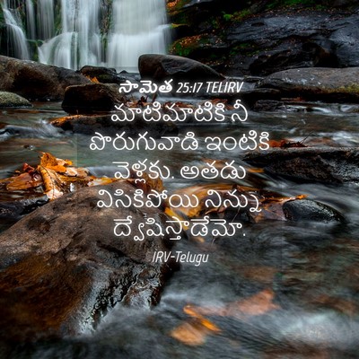 Picture 04 - సామెత 25:17 TELIRV - మాటిమాటికి నీ - Bible Verse Picture