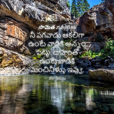 Picture 04 - సామెత 25:21 TELIRV - నీ పగవాడు ఆకలిగా - Bible Verse Picture