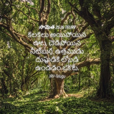 Picture 04 - సామెత 25:26 TELIRV - కలకలు అయిపోయిన ఊట, - Bible Verse Picture