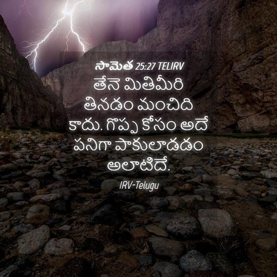 Picture 04 - సామెత 25:27 TELIRV - తేనె మితిమీరి - Bible Verse Picture