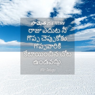 Picture 04 - సామెత 25:6 TELIRV - రాజు ఎదుట నీ గొప్ప - Bible Verse Picture