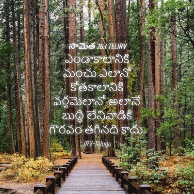 Picture 04 - సామెత 26:1 TELIRV - ఎండాకాలానికి మంచు - Bible Verse Picture