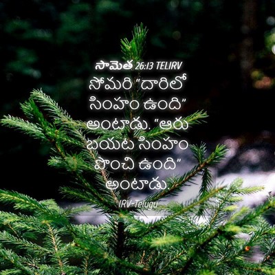Picture 04 - సామెత 26:13 TELIRV - సోమరి “దారిలో - Bible Verse Picture
