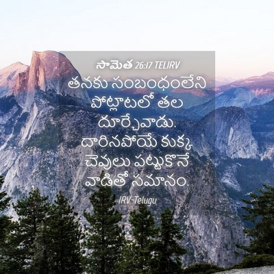 Picture 04 - సామెత 26:17 TELIRV - తనకు సంబంధంలేని - Bible Verse Picture
