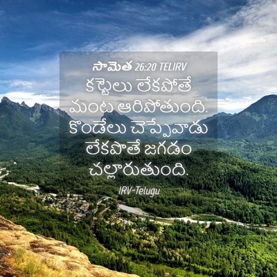 Picture 04 - సామెత 26:20 TELIRV - కట్టెలు లేకపోతే - Bible Verse Picture