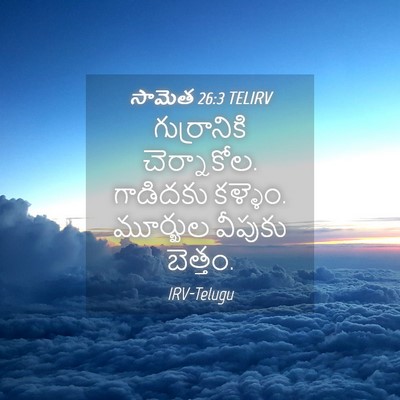 Picture 04 - సామెత 26:3 TELIRV - గుర్రానికి - Bible Verse Picture