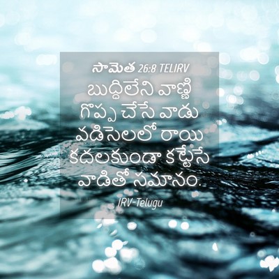 Picture 04 - సామెత 26:8 TELIRV - బుద్ధిలేని వాణ్ణి - Bible Verse Picture