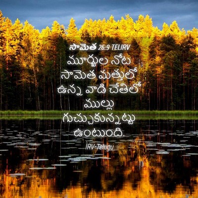 Picture 04 - సామెత 26:9 TELIRV - మూర్ఖుల నోట సామెత - Bible Verse Picture