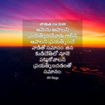 Picture 04 - సామెత 27:16 TELIRV - ఆమెను ఆపాలని - Bible Verse Picture