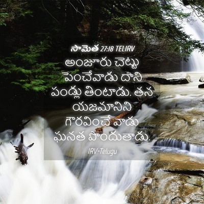 Picture 04 - సామెత 27:18 TELIRV - అంజూరు చెట్టు - Bible Verse Picture