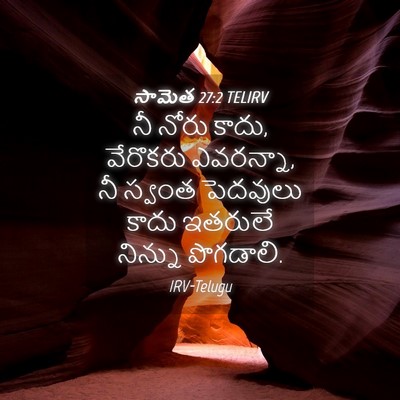 Picture 04 - సామెత 27:2 TELIRV - నీ నోరు కాదు, - Bible Verse Picture