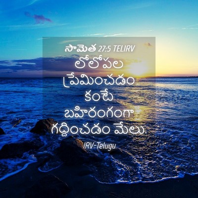 Picture 04 - సామెత 27:5 TELIRV - లోలోపల ప్రేమించడం - Bible Verse Picture