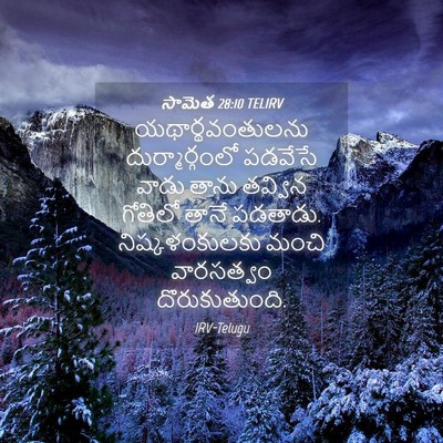 Picture 04 - సామెత 28:10 TELIRV - యథార్థవంతులను - Bible Verse Picture