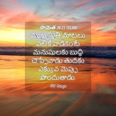 Picture 04 - సామెత 28:23 TELIRV - ముఖ స్తుతి మాటలు - Bible Verse Picture