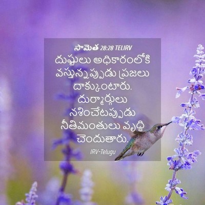 Picture 04 - సామెత 28:28 TELIRV - దుష్టులు - Bible Verse Picture