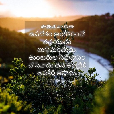 Picture 04 - సామెత 28:7 TELIRV - ఉపదేశం అంగీకరించే - Bible Verse Picture
