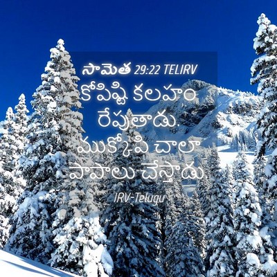 Picture 04 - సామెత 29:22 TELIRV - కోపిష్టి కలహం - Bible Verse Picture