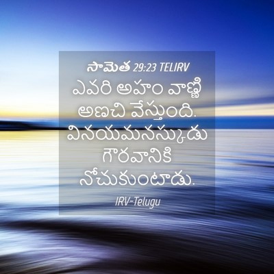 Picture 04 - సామెత 29:23 TELIRV - ఎవరి అహం వాణ్ణి - Bible Verse Picture