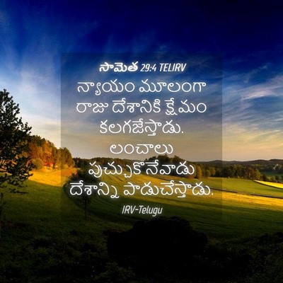 Picture 04 - సామెత 29:4 TELIRV - న్యాయం మూలంగా - Bible Verse Picture