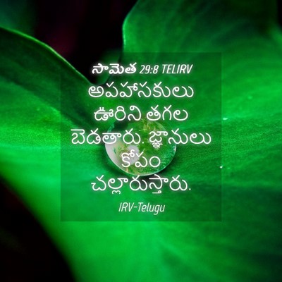 Picture 04 - సామెత 29:8 TELIRV - అపహాసకులు ఊరిని - Bible Verse Picture