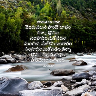 Picture 04 - సామెత 3:14 TELIRV - వెండి వలన పొందే - Bible Verse Picture