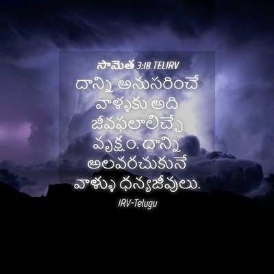 Picture 04 - సామెత 3:18 TELIRV - దాన్ని అనుసరించే - Bible Verse Picture