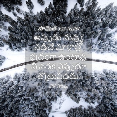 Picture 04 - సామెత 3:23 TELIRV - అప్పుడు నువ్వు - Bible Verse Picture