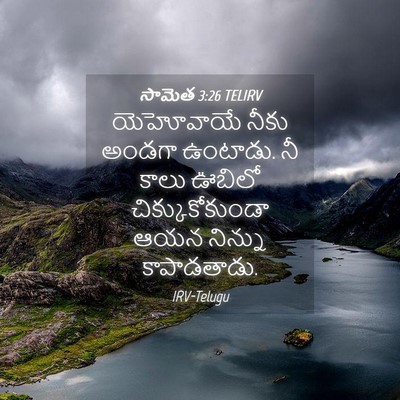 Picture 04 - సామెత 3:26 TELIRV - యెహోవాయే నీకు - Bible Verse Picture
