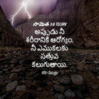 Picture 04 - సామెత 3:8 TELIRV - అప్పుడు నీ - Bible Verse Picture