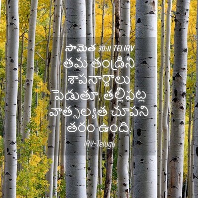 Picture 04 - సామెత 30:11 TELIRV - తమ తండ్రిని - Bible Verse Picture
