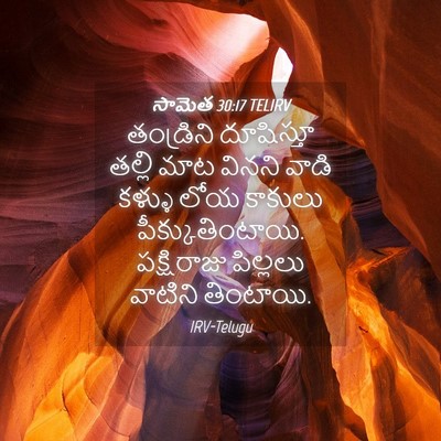 Picture 04 - సామెత 30:17 TELIRV - తండ్రిని దూషిస్తూ - Bible Verse Picture
